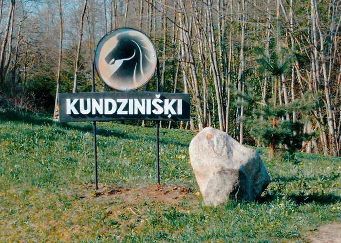 Kundziniski